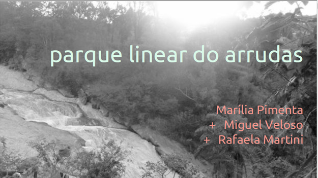 galeria-imagem (13)