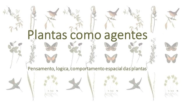 galeria01-imagem (4)