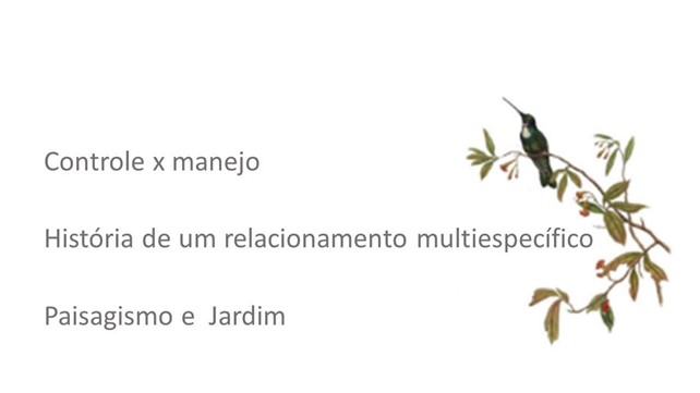 galeria01-imagem (8)