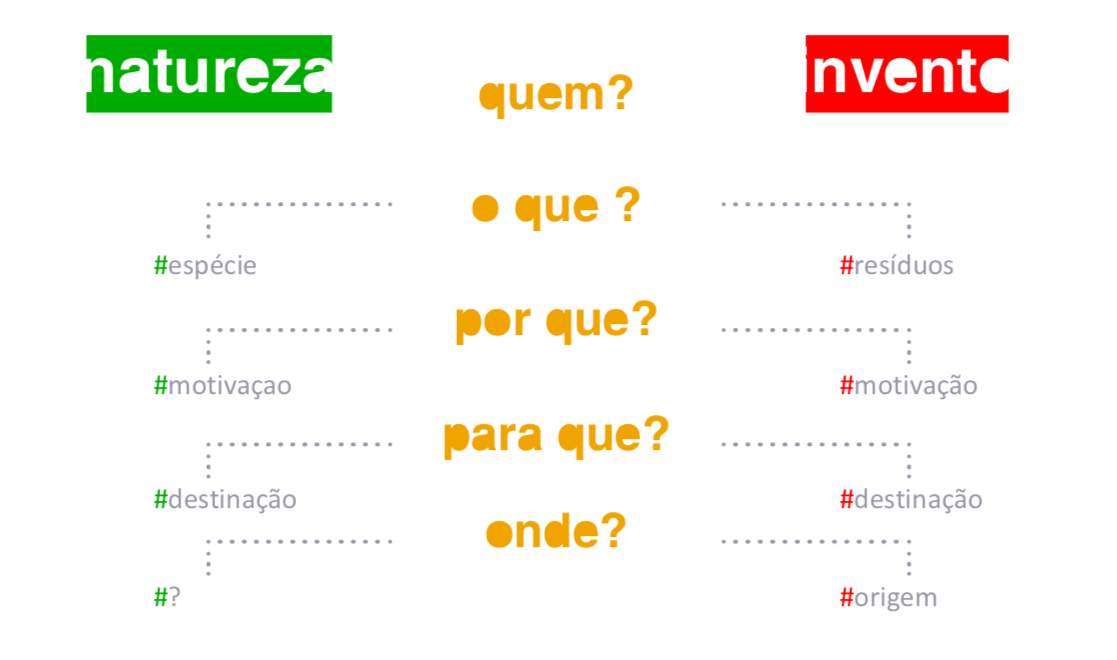 galeria2_imagem-01